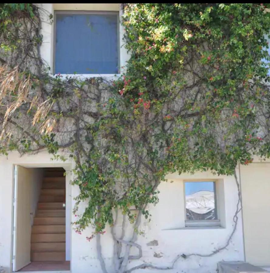 Nova Casa Com Piscina No Convento Das Bernardas Tavira Kültér fotó